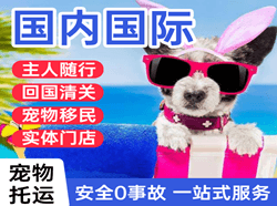 涟水空运国际宠物托运 【国